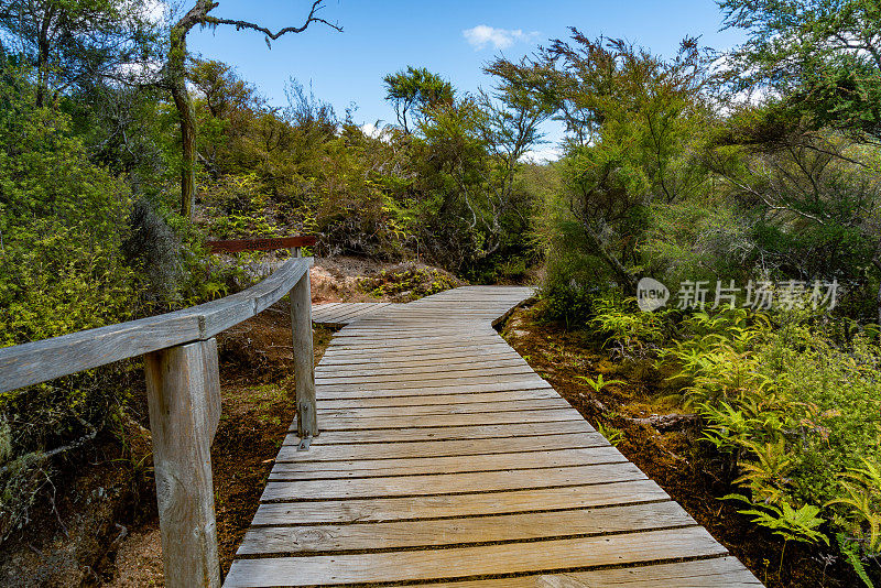 新西兰陶波隐谷的Orakei Korako地热公园和洞穴木板路